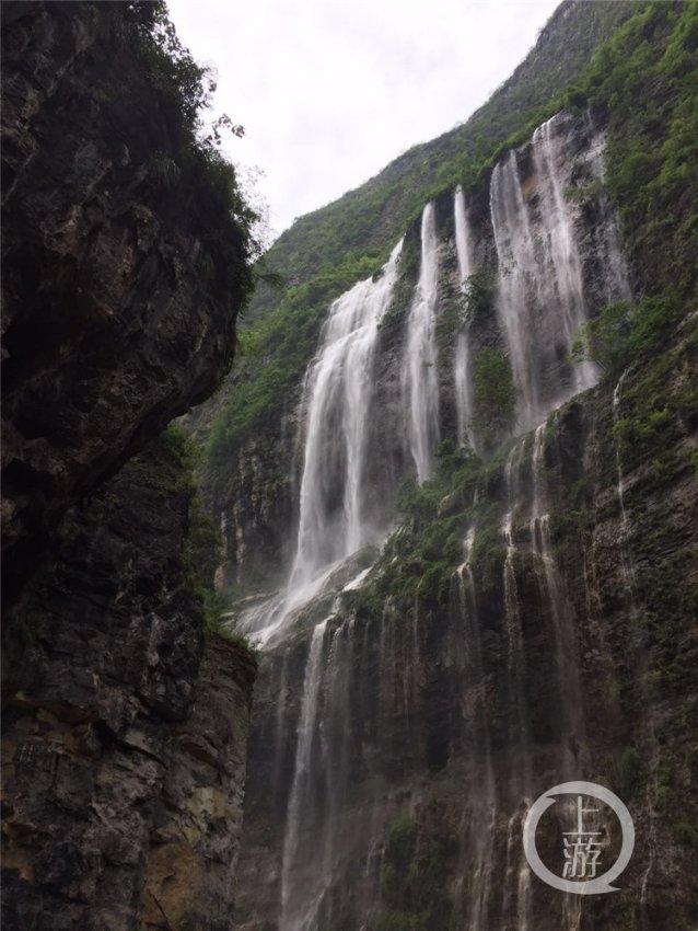 逃离制药厂
